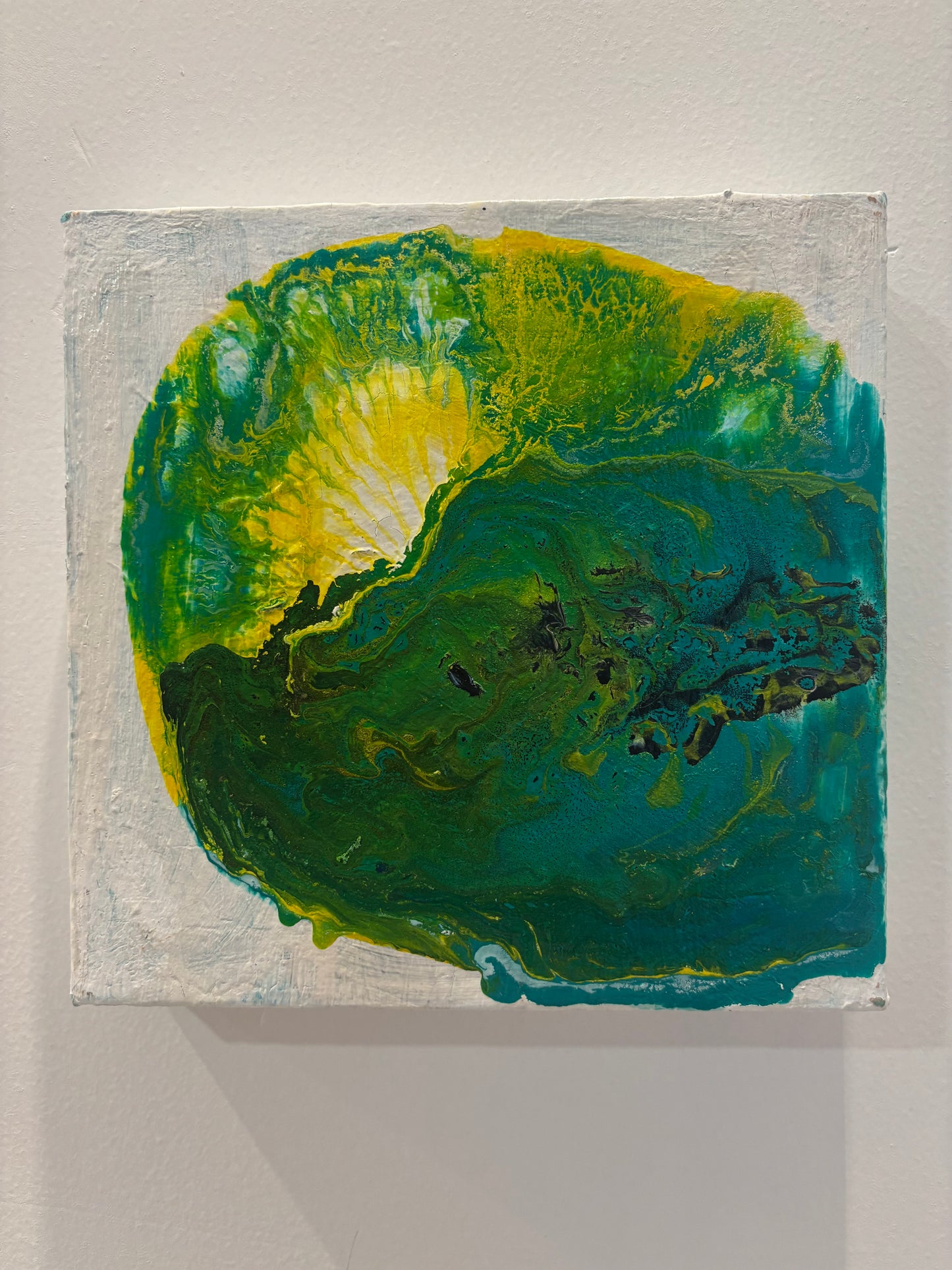 Pulso Verde