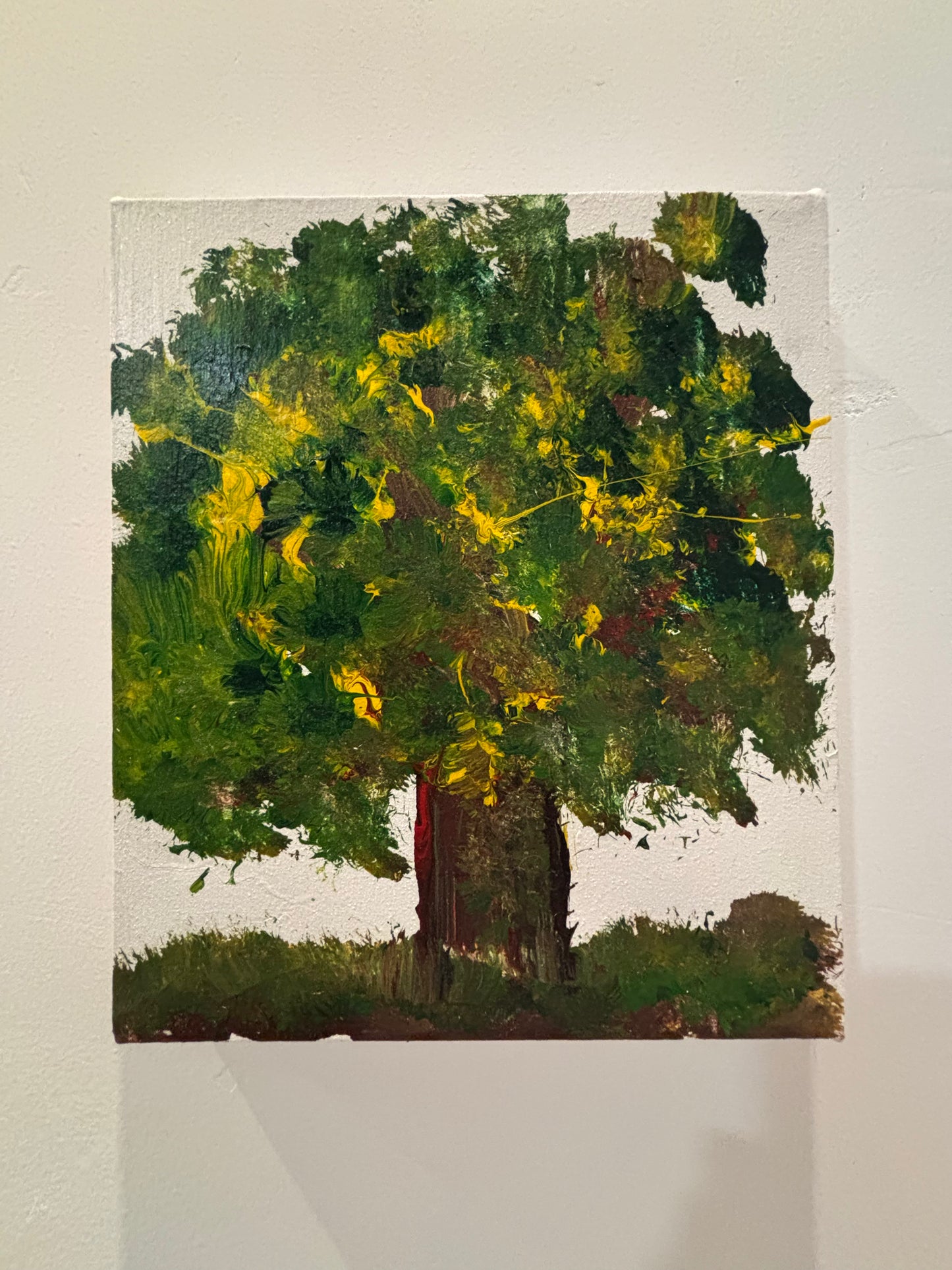 Esplendor del Árbol