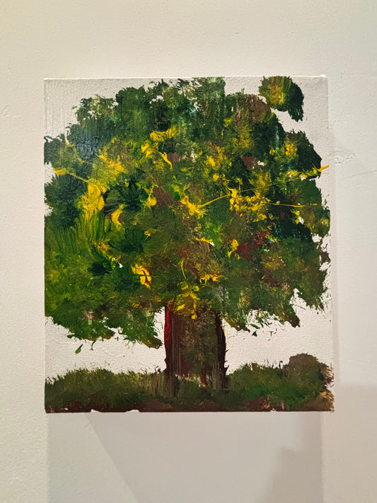 Esplendor del Árbol