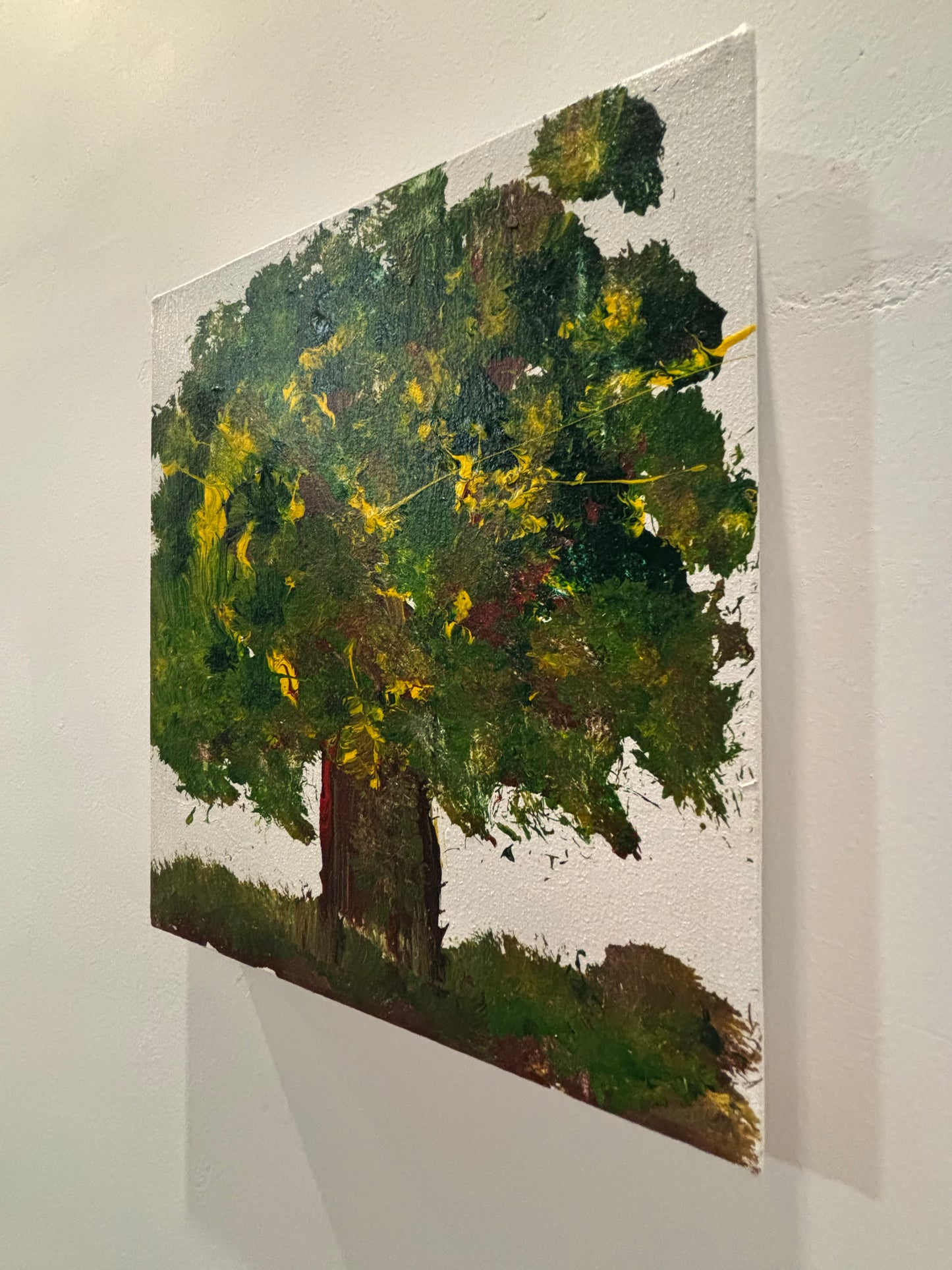 Esplendor del Árbol