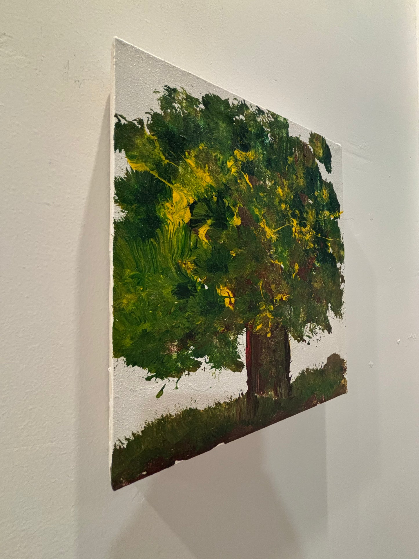 Esplendor del Árbol